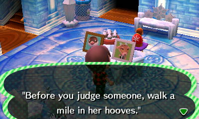 Pashmina's pic: Before you judge someone, walk a mile in her hooves.