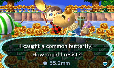 I caught a common butterfly! How could I resist?