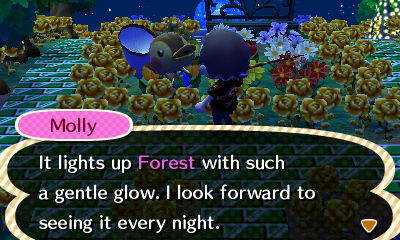 Molly: It lights up Forest with such a gentle glow. I look forward to seeing it every night.