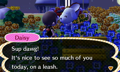 Daisy: Sup dawg? It's nice to see so much of you today, on a leash.
