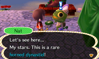 Nat: Let's see here... My stars. This is a rare horned dynastid!