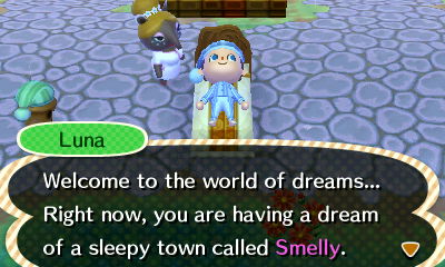 Luna: Welcome to the world of dreams. Right now, you are having a dream of a sleepy town called Smelly.