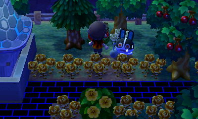 Dotty struggling to get out of a pitfall.