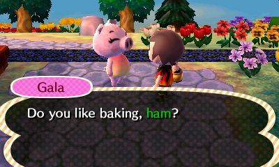 Gala: Do you like baking, ham?