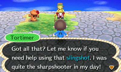 Tortimer: Got all that? Let me know if you need help using that slingshot. I was quite the sharpshooter in my day!