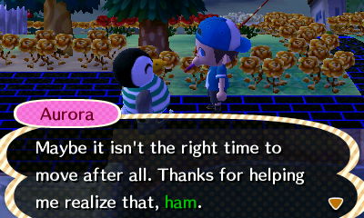 Aurora: Maybe it isn't the right time to move after all. Thanks for helping me realize that, ham.