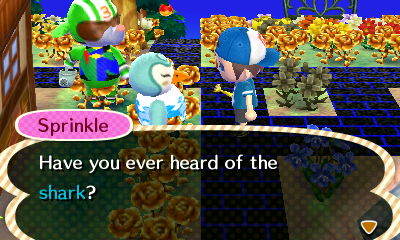 Sprinkle: Have you ever heard of the shark?