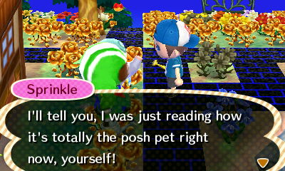 Sprinkle: I'll tell you, I was just reading how it's totally the posh pet right now, yourself!