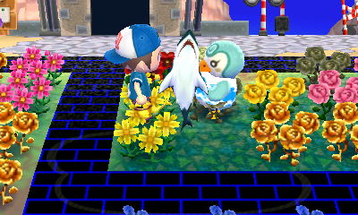 Handing a shark to Sprinkle.