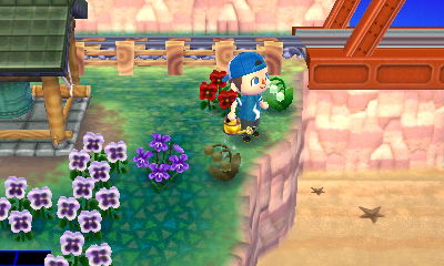 Looking down at two buried items on my private beach.