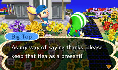 Big Top: As my way of saying thanks, please keep that flea as a present!