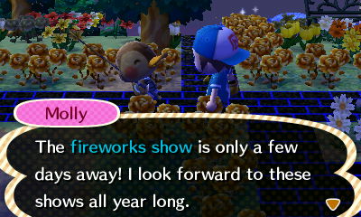 Molly: The fireworks show is only a few days away! I look forward to these shows all year long.