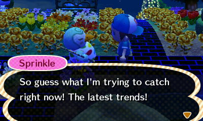 Sprinkle: So guess what I'm trying to catch right now! The latest trends!