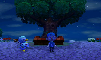 A nighttime picture of my town tree.