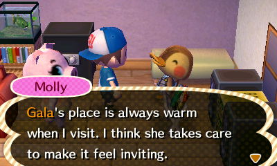 Molly: Gala's place is always warm when I visit. I think she takes care to make it feel inviting.