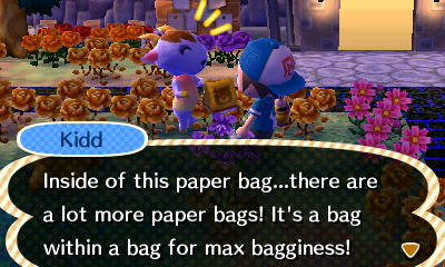 Kidd: Inside of this paper bag...there are a lot more paper bags! It's a bag within a bag for max bagginess!