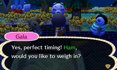 Gala: Yes, perfect timing! Ham, would you like to weigh in?