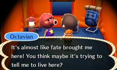 Octavian: It's almost like fate brought me here! You think maybe it's trying to tell me to live here?