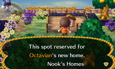 This spot reserved for Octavian's new home. -Nook's Homes
