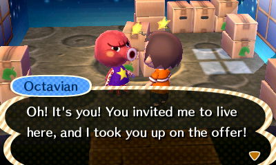 Octavian: Oh! It's you! You invited me to live here, and I took you up on the offer!