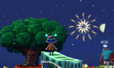 Me watching fireworks from on top of Redd's tent.