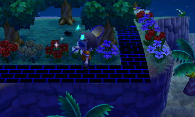 Spotting a tarantula!