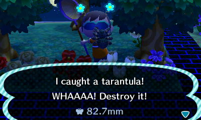 I caught a tarantula! WHAAAA! Destroy it!