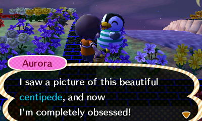 Aurora: I saw a picture of this beautiful centipede, and now I'm completely obsessed!