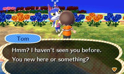 Tom: Hmm? I haven't seen you before. You new here or something?