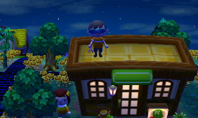 Standing on the Roost.