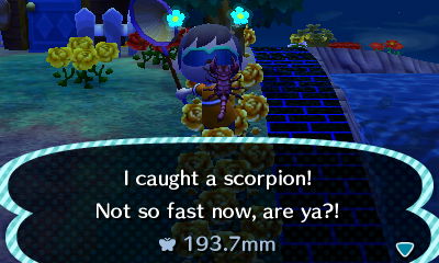 I caught a scorpion! Not so fast now, are ya?!