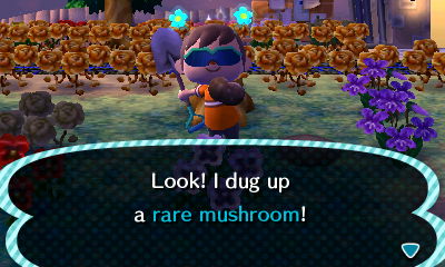 Look! I dug up a rare mushroom!