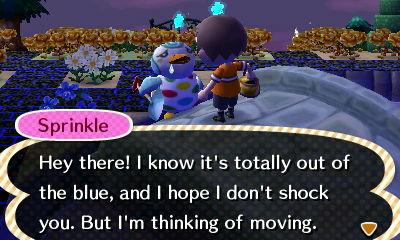 Sprinkle: I know it's totally out of the blue, and I hope I don't shock you. But I'm thinking of moving.