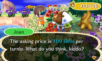 Joan: The asking price is 109 bells per turnip. What do you think, kiddo?