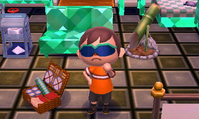 The picnic basket from Isabelle.