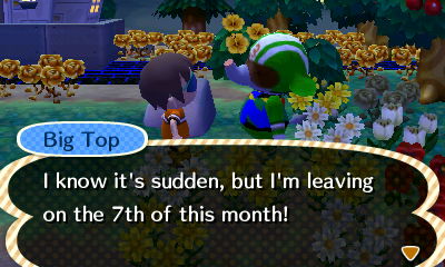 Big Top: I know it's sudden, but I'm leaving on the 7th of this month!