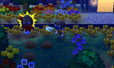 I dug up my special stump. Oops!