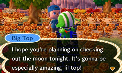 Big Top: I hope you're planning on checking out the moon tonight. It's gonna be especially amazing, lil top!
