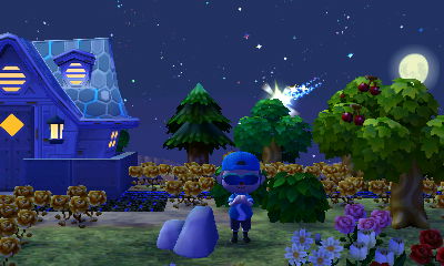 Wishing on a shooting star.