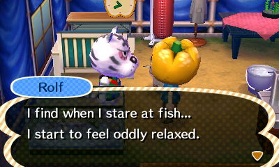 Rolf: I find when I stare at fish... I start to feel oddly relaxed.