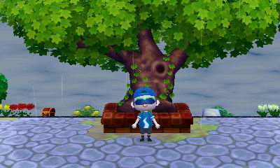 My full-sized town tree.