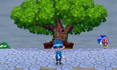 My town tree at maximum size.