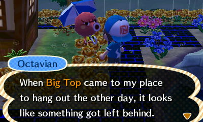 Octavian: When Big Top came to my place to hang out the other day, it looks like something got left behind.