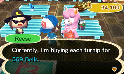 Reese: Currently, I'm buying each turnip for 569 bells.