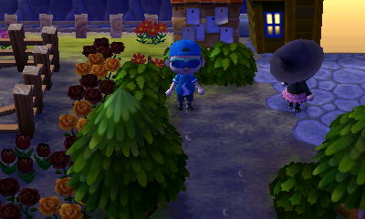 Wendy's orange and black roses.