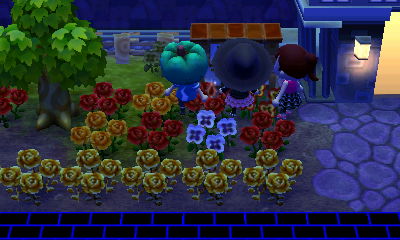 All of us trying to read the bulletin board.