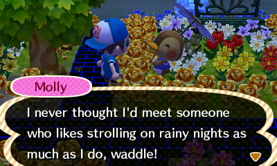 Molly: I never thought I'd meet someone who likes strolling on rainy nights as much as I do, waddle!