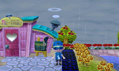 Rainy day in Forest.