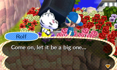 Rolf: Come on, let it be a big one...