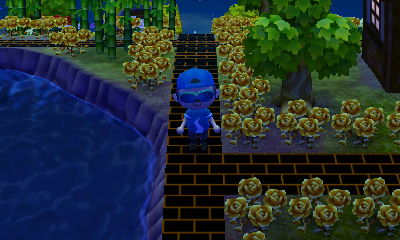 My black and orange brick path.